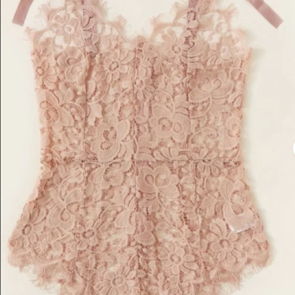 NWT lacy pink teddy